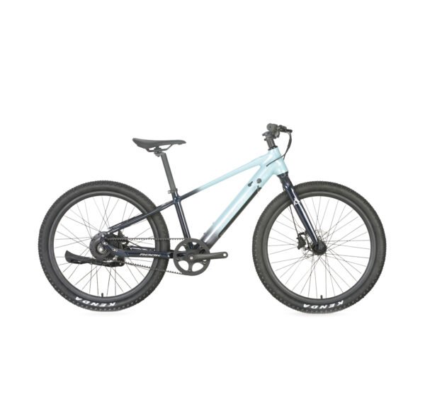 24" Kids' Mountain E-Bike 24V 250W, Single-Speed, Hydraulic Brake Youth E-Bike