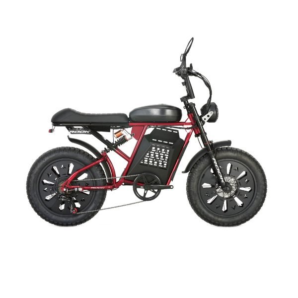 20" Retro Fat Tire E-Bike 48V 500W, Shimano 7-Speed, Hydraulic Brake Vintage-Style E-Bike
