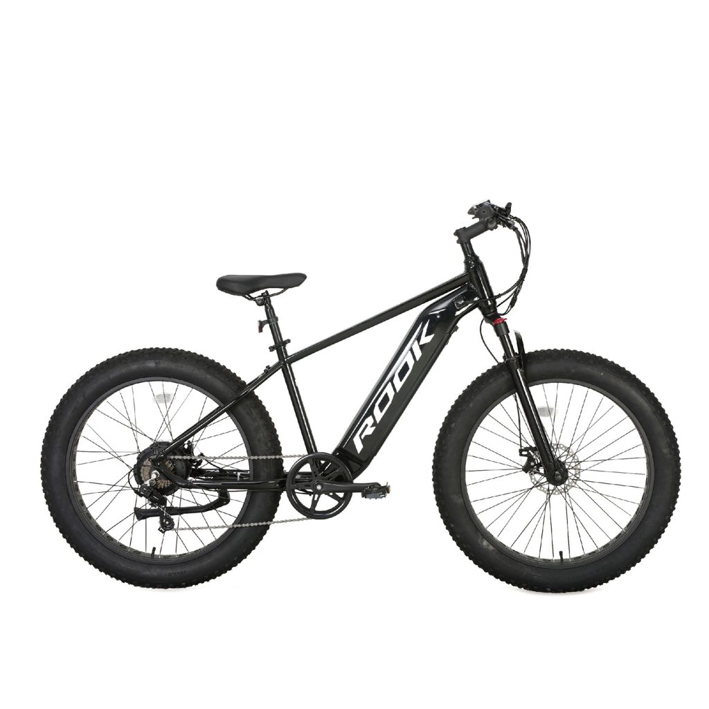 Fat Tire MTB E-Bike