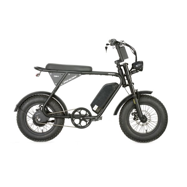 16" Mini Retro Fat Tire E-Bike 36V 250W, Hydraulic Brake, Double Suspension Vintage E-Bike