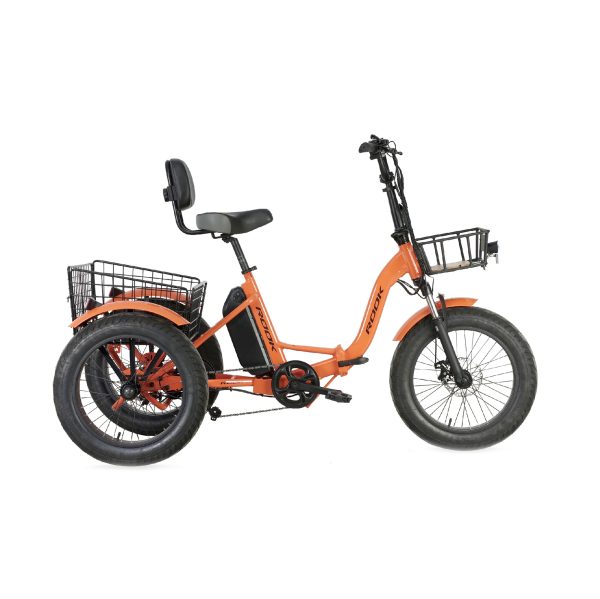 20" 3-Wheel Fat Tire Electric Trike 48V 500W, 7-Speed, Leisure E-Trike with Front & Rear Baskets