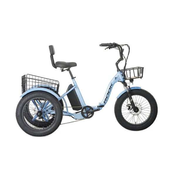20" Heavy-Duty 3-Wheel Electric Trike 48V 750W, 7-Speed, Suspension E-Trike with Backrest