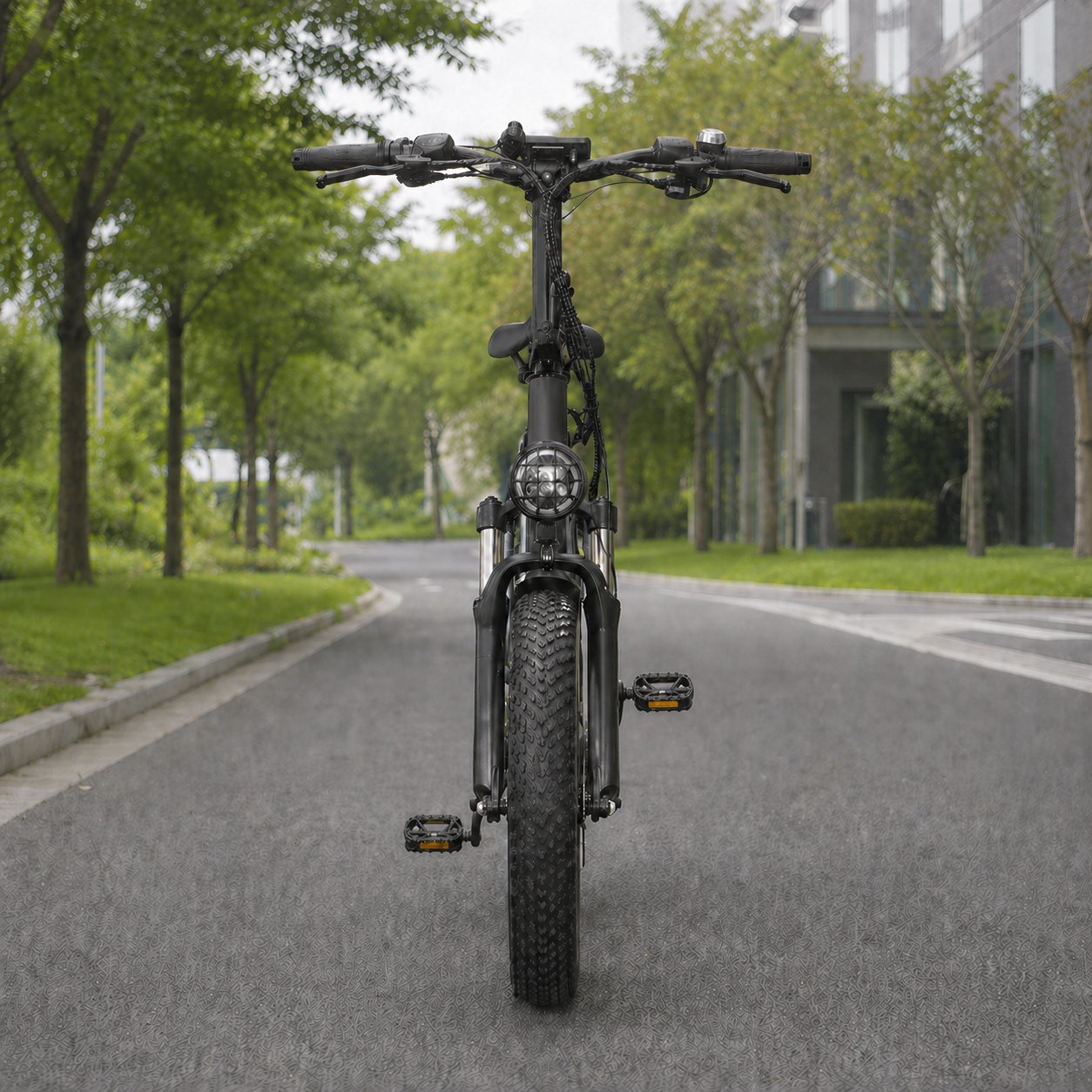 20" Step-Through Fat Tire E-Bike 48V 500W, Shimano 7-Speed, Logan Disc Brake Cargo E-Bike - Image 4