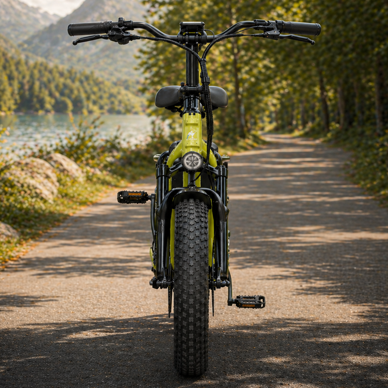 20" Step-Through Fat Tire E-Bike 48V 500W, Shimano 7-Speed, Hydraulic Brake Cargo E-Bike - Image 4